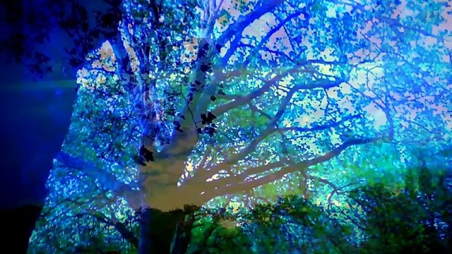 Knocking on heavens door by Brothers of Albion. 2016 .