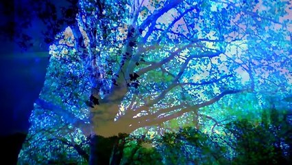 Knocking on heavens door by Brothers of Albion. 2016 .