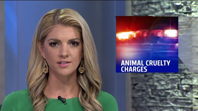 Man Charged with Animal Cruelty for Shooting Neighbor's Cat with a Crossbow