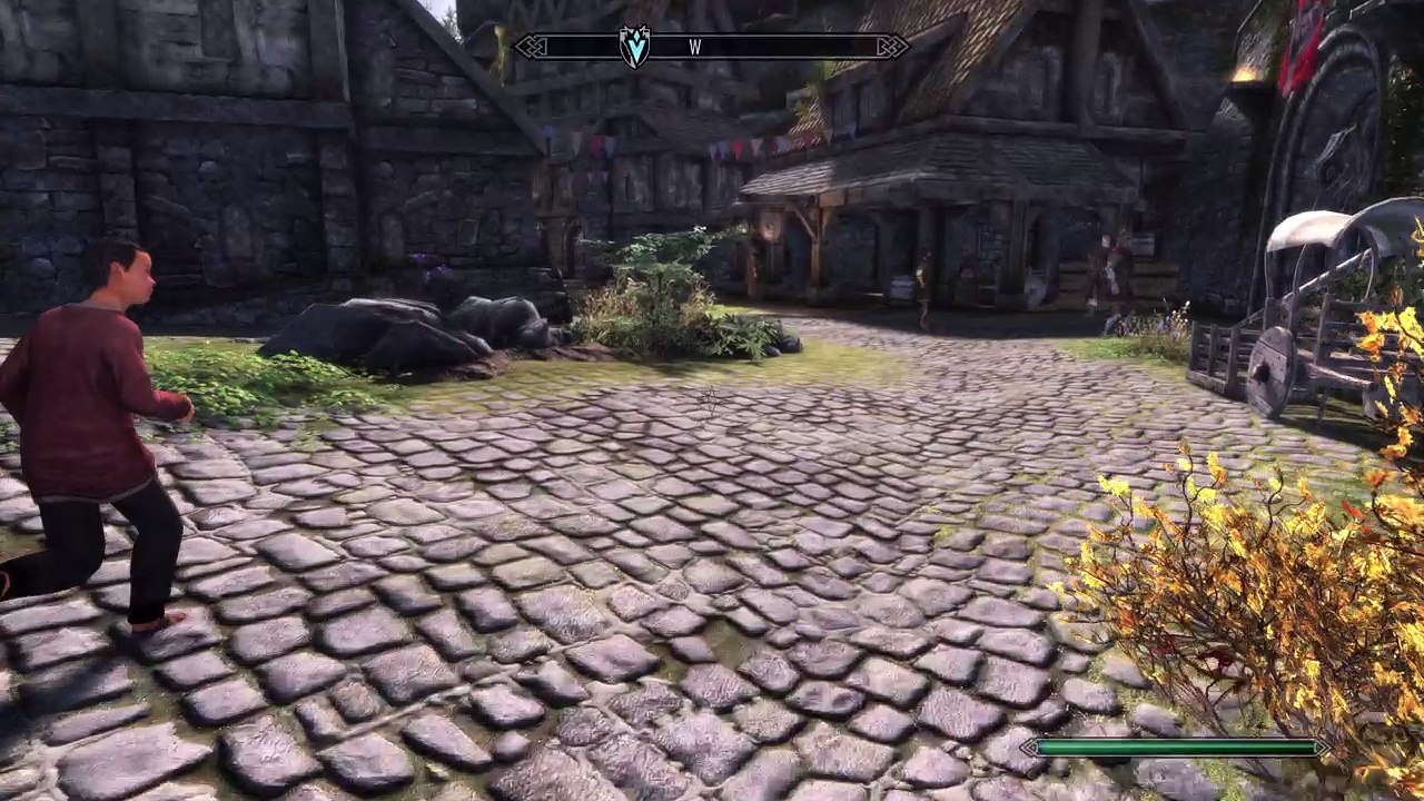 Skyrim_20170706182648