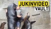 Funny Seal/Sea Lion Videos Compilation || JukinVideo Vault