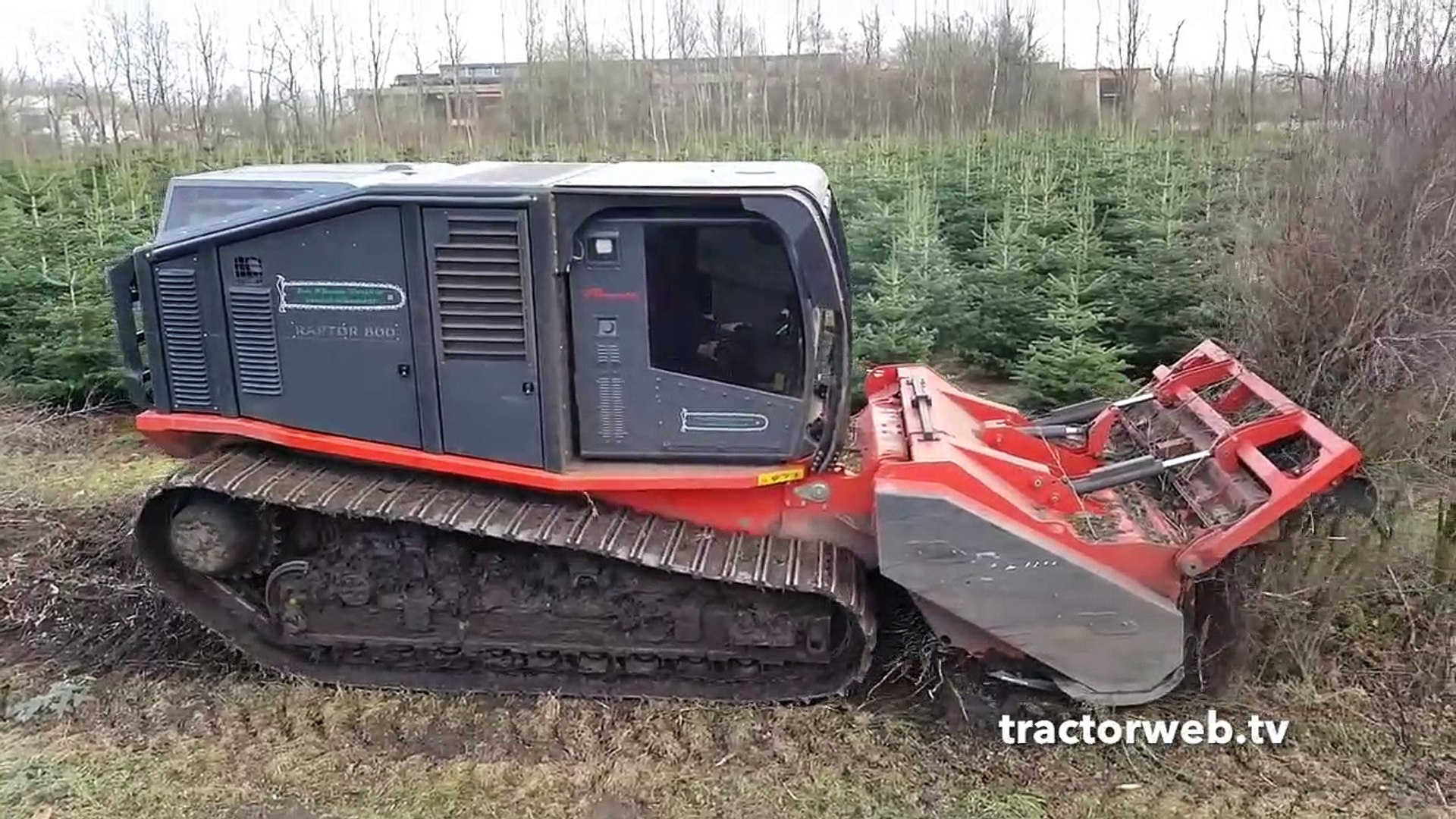 Forest killer
