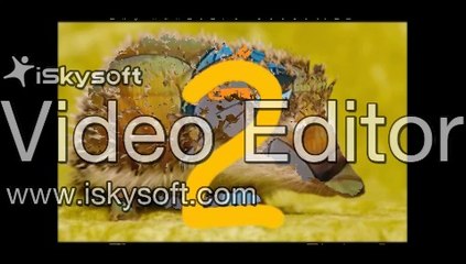 CMV-Count It Higher Number 12