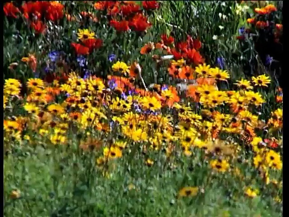 Nature & Wildlife in South Africa   Adventure - Waterfalls, Rafting