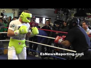 floyd mayweather vs Canelo Alvarez fans sound off