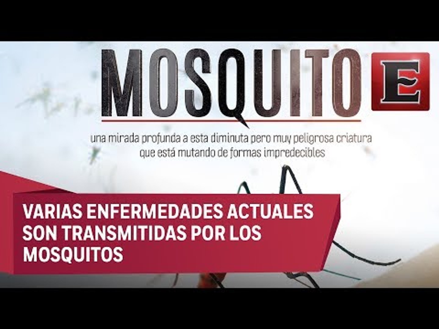 Discovery Channel presenta documental 'Mosquito'