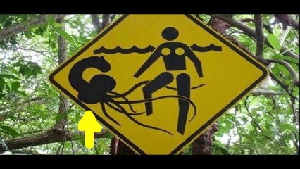 Fotos engraçadas e Placas bizarras