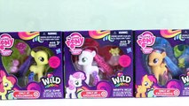 Y manzana beldad floración poco fabricante mi juego poni popular arco iris cariño salvaje Scootaloo mlp