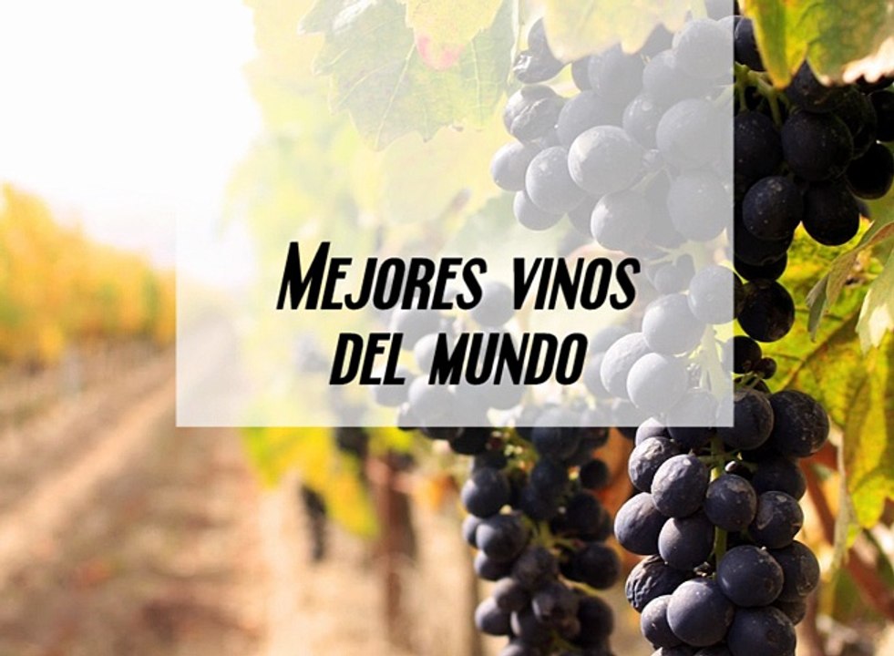 José Elarba - Mejores vinos del mundo