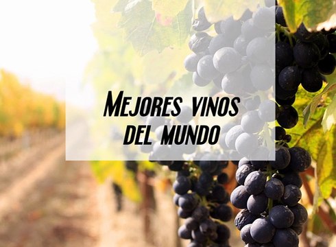 José Elarba - Mejores vinos del mundo