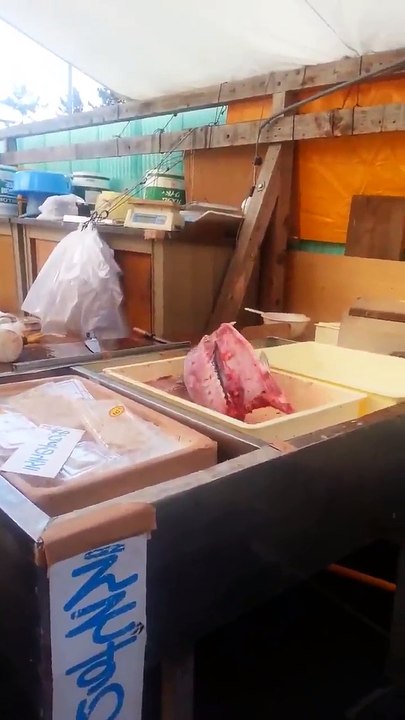 Do you have fresh fish?