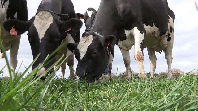 Sulniac | Evolution des Fermes Laitières | Vannes Télé