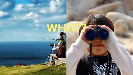 Google SEO Trends To Watch In 2017 For Small Business