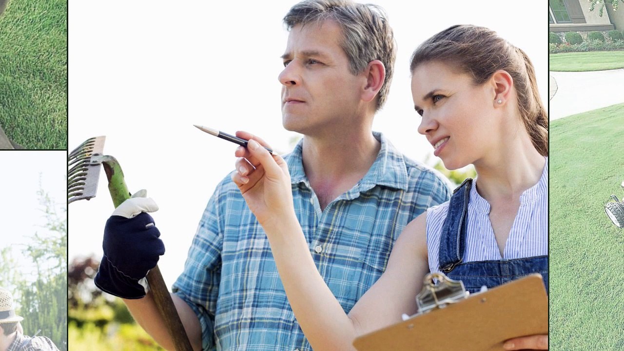 Landscaper in Fremont - Reasons to Hire a Professional Landscaper