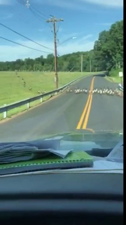 Quand tu prends les routes de campagne pour aller plus vite... Raté!