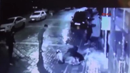 Manisa Işkence Gören Sokak Köpeği Doğal Ortamına Bırakıldı