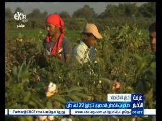 #غرفة_الأخبار | صادرات القطن المصري تتجاوز 22 ألف طن