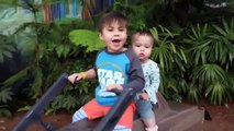 Speeder Bike Photo Op  Action Movie Kid  Star Wars  Walt Disney World