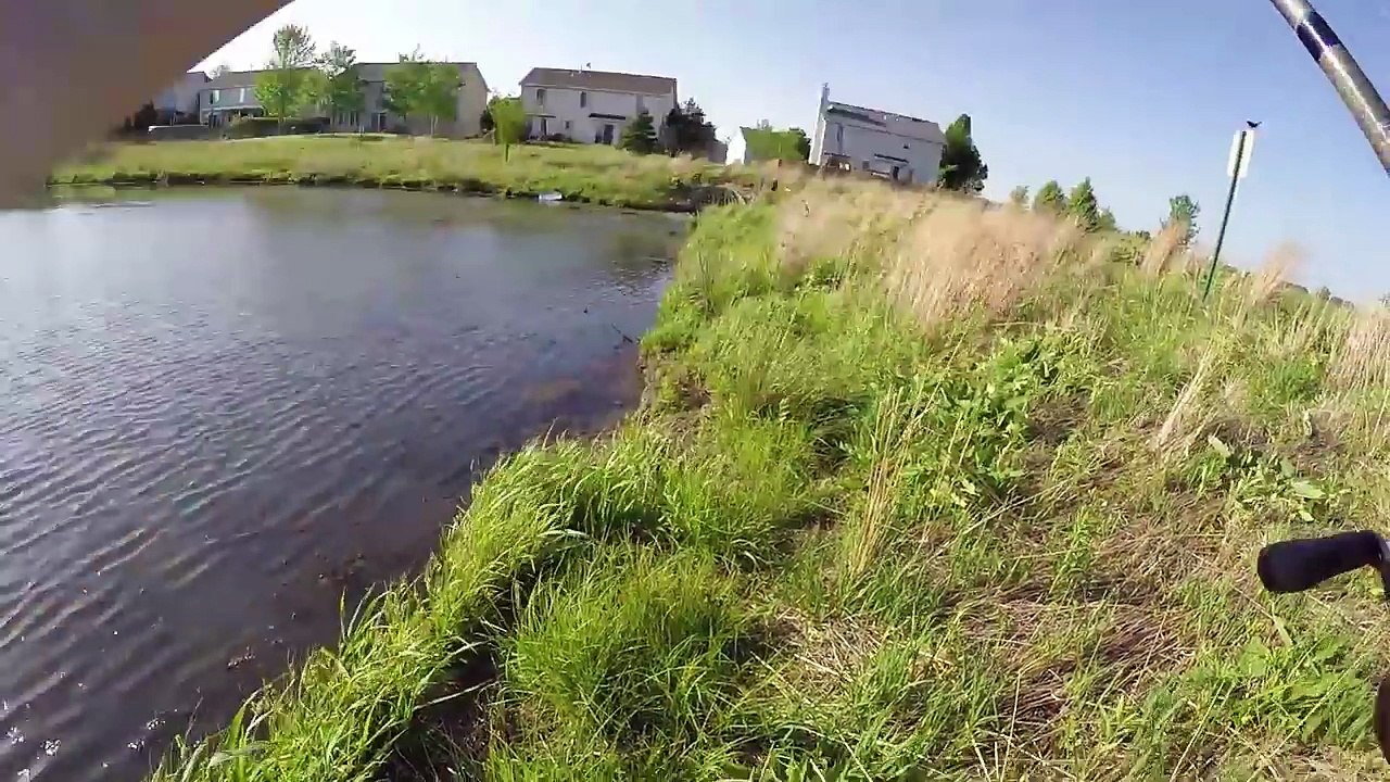 Fishing GIANT 10  Worms In Tiny Ponds