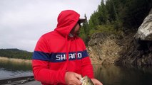 Jerkbaits Fishing Tips  Best Baits, rods, and More...
