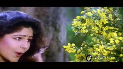 Udte Badal Se Poochho  Alka Yagnik  Sangram 1993 Songs  Ajay Devgan, Ayesha Jhulka