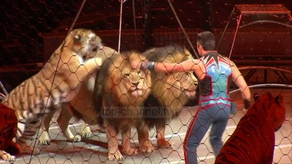 Legjenda e cirkut - Top Channel Albania - News - Lajme