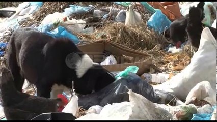 Ora News – Vlorë, në 37 fshatra nuk pastrohen mbeturinat