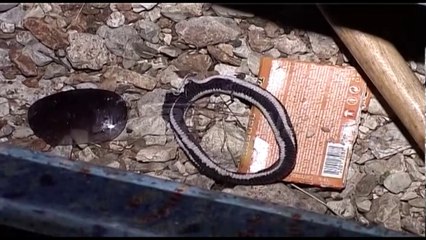 Ora News – “Drejtësi për Himarën”, babai i studentes kërkon rihapjen e hetimeve