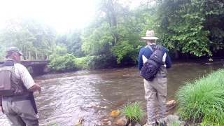 Fly fishing trout!!! Fishing for trout with a fly. Primland Va. brown trout & Rainbow
