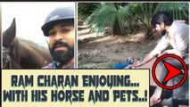 Ram Charan Teja enjoying with his pets And Horse