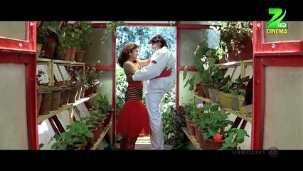 Tumhen Hum Bahut Pyar karne Lage full HD 1080p song movie Jallaad 1995