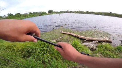 Catching GIANT Bass in a NEW Pond!!!