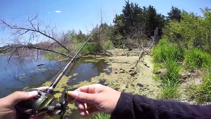 Sunny Mid Day Frog Fishing Challenge!!!