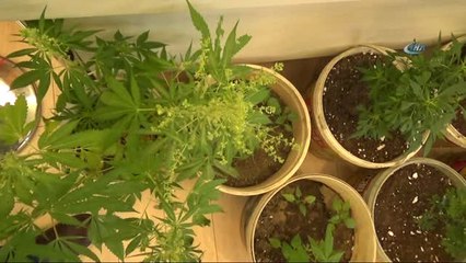 İstanbul'da Uyuşturucu Operasyonu: 49 Kişi Gözaltında