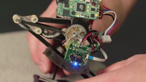 Meet Salto, the Tiny Robot With a Giant Leap