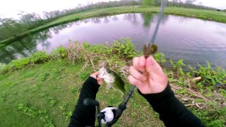 golf course fishing (it's not what you know...)