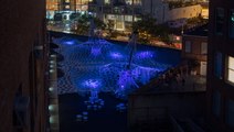 Butterfly Wings Inspired This Color-Changing Architectural Installation