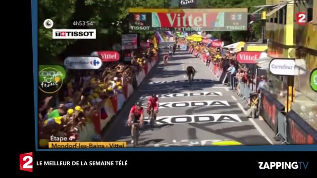 Zap TV : Simone Veil au Panthéon, Gilles Verdez naturiste, Eric Naulleau tacle Vanessa Burggraf (Vidéo)