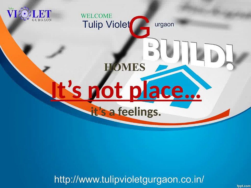 Tulip_Violet_Completion