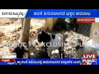 Goat & Chickens Rescued From Sacrifice