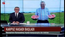 Karpuz hasadı başladı (Haber 06 07 2017)