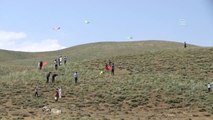 Yüksekova'da Uçurtma Şenliği