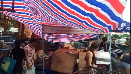 Festival della carne di cane: un vero orrore. Ma ecco un piccolo, grande miracolo!