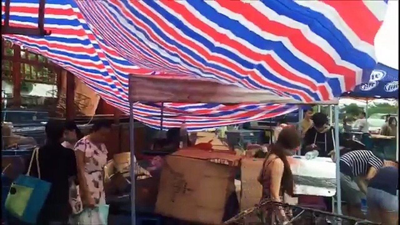 Festival della carne di cane: un vero orrore. Ma ecco un piccolo, grande miracolo!