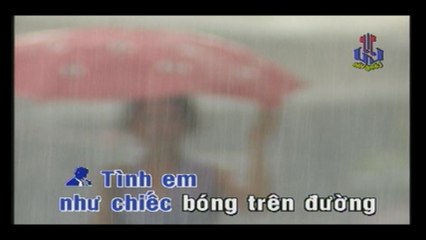 Chiếc Bóng Bên Đường - Chế Linh KARAOKE BEAT CHUẨN✔