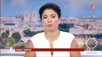 Sommet du G20 : "Hambourg est une ville en état de siège"