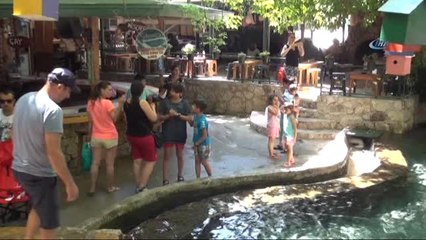 Soğuk Su Havuzlarına Yoğun İlgi