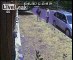 Un enlèvement filmé par une caméra de surveillance