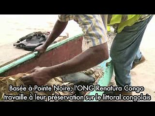 Renatura Congo - Spot libération tortues marines