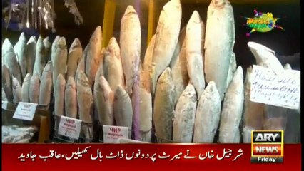 What is the coolest place in the world? Must Watch